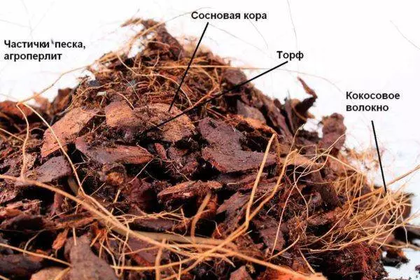 Слои грунта для орхидеи — изображение 4