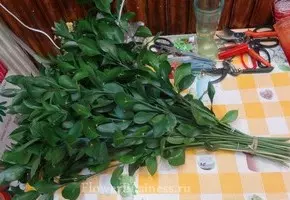 Растения для оформления букетов — изображение 56