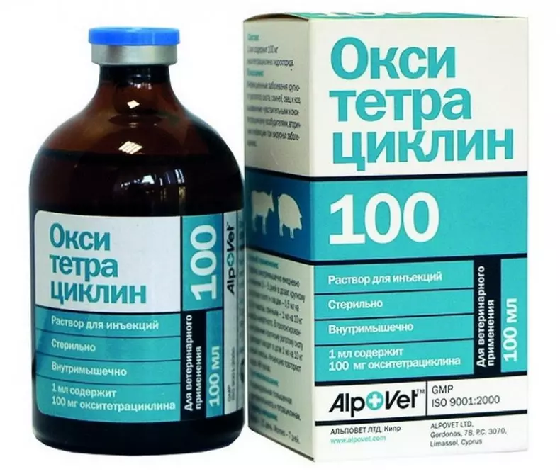 Как разводить пенициллин для кроликов — изображение 7
