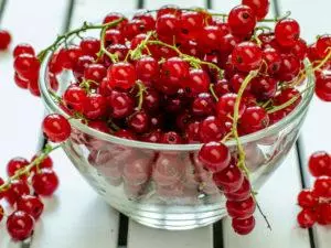 Красная смородина при простуде — изображение 2
