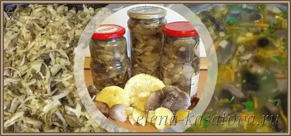Как приготовить грибы желтушки