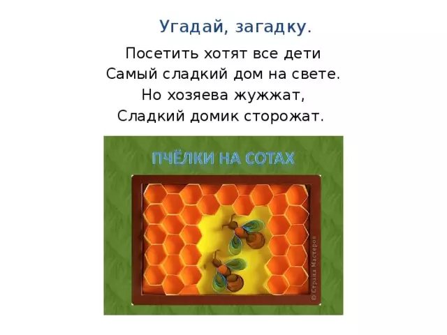 Изделие пчелы и соты — изображение 2