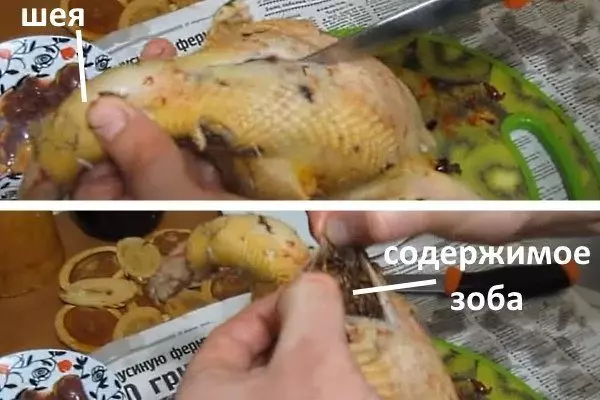Как быстро ощипать фазана — изображение 2