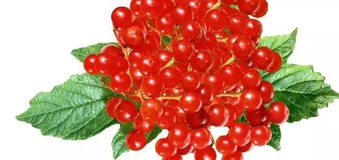 Калина с апельсином через мясорубку — изображение 17