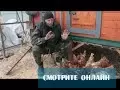 Дед чтп кормление кур — изображение 29