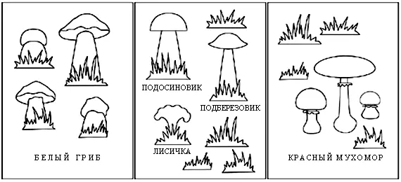 Рассказ про осенние грибы — изображение 3