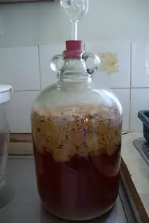 Быстрое вино из яблок — изображение 3