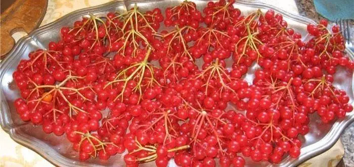 Калина с апельсином через мясорубку — изображение 27