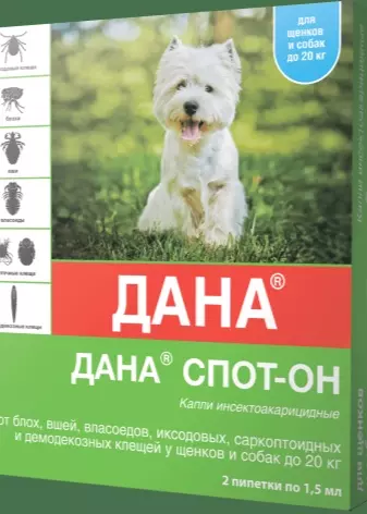 Чем обработать пол в вольере для собак — изображение 24