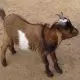 Поделки из березовых чурок — изображение 21