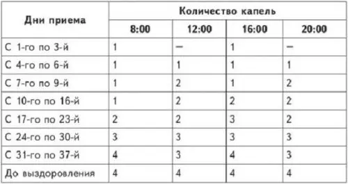 Болиголов применение в гинекологии — изображение 3