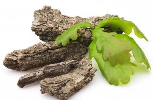 Чай из дубовой коры — изображение 9