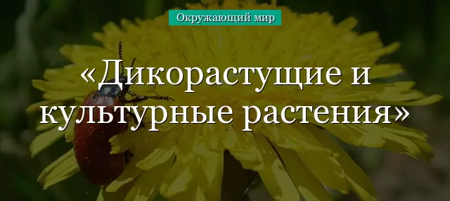 Редкие дикорастущие растения названия 2 класс