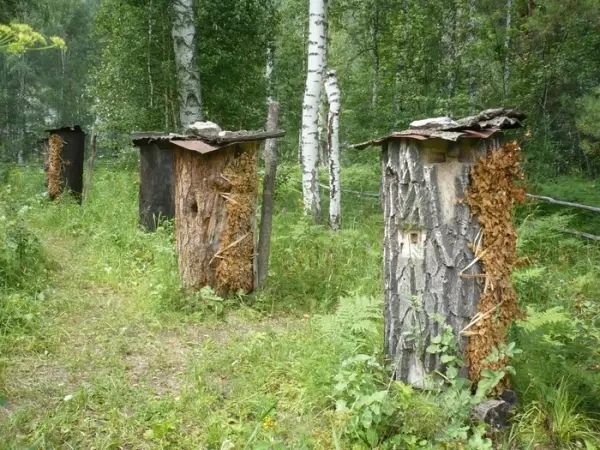 Какой улей выбрать начинающему пчеловоду