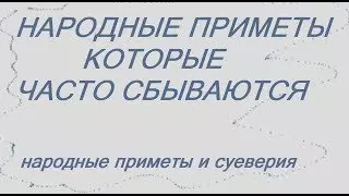 Приметы голубь сел на плечо — изображение 23