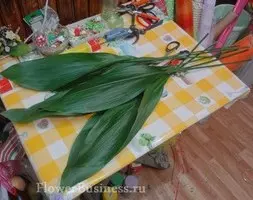 Растения для оформления букетов — изображение 33
