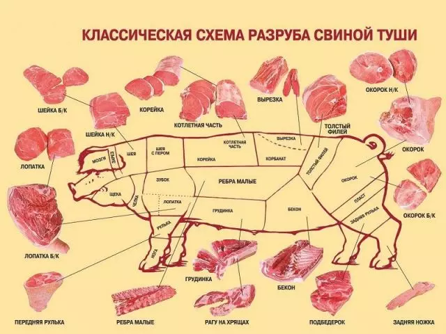 Сколько в свинье мяса и сала — изображение 13