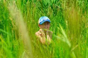 Птицы вьют гнезда осенью — изображение 3