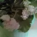 Специи для куриного супа с лапшой — изображение 7