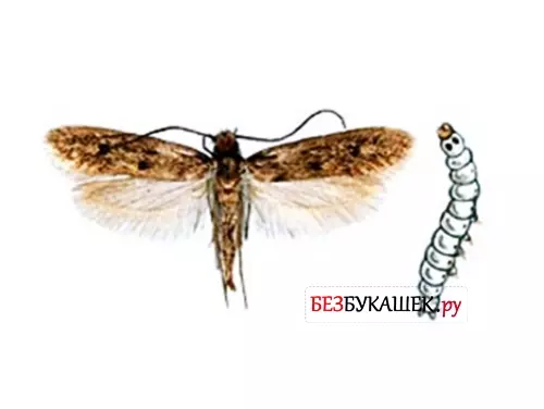 Мандариновые корки от моли — изображение 6