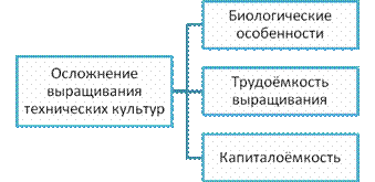 Районы выращивания технических культур в россии — изображение 11