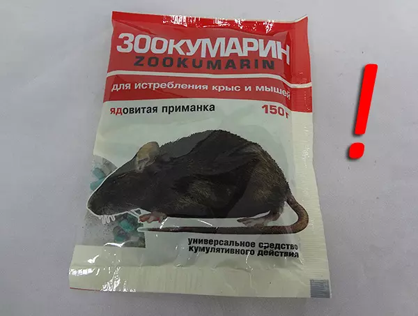 Как крыса ворует яйца видео из курятника — изображение 18