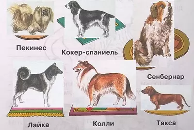 Рассказ про собаку для 1 класса — изображение 4