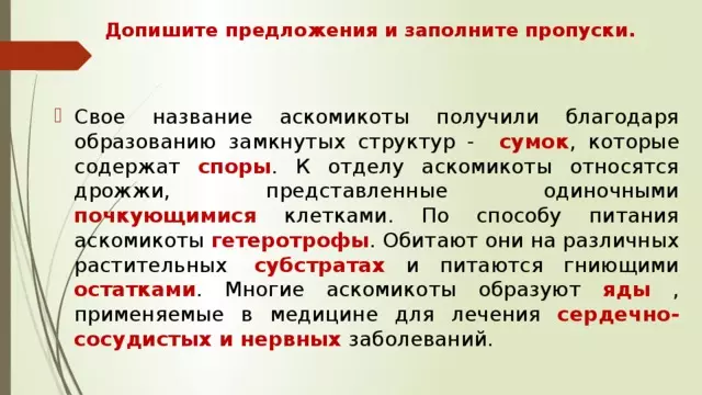 Отдел аскомикота или сумчатые грибы 7 класс — изображение 37