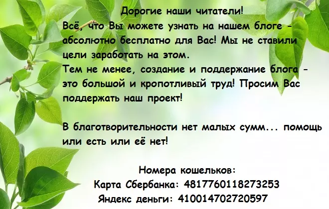 Пророщенный маш как употреблять — изображение 8