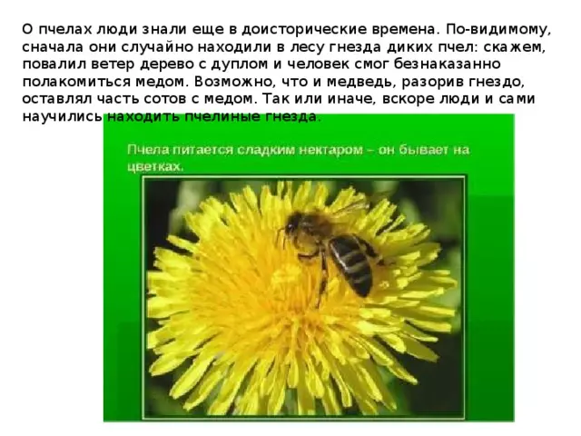 Изделие пчелы и соты — изображение 5