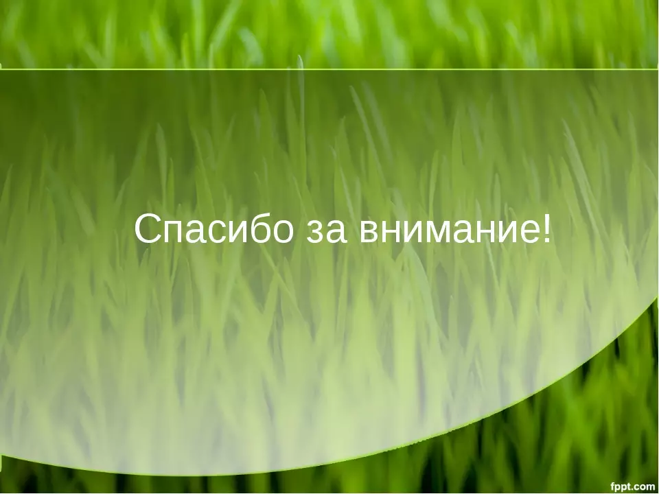 Заяц беляк и заяц русак критерии вида — изображение 12