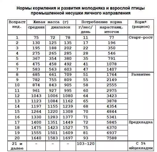 Рейтинг комбикормов для кур несушек — изображение 19