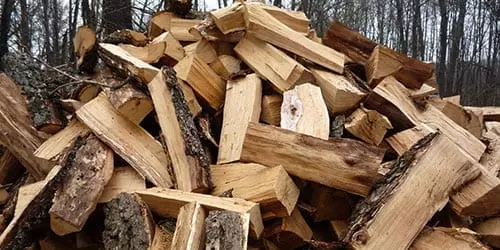 Тополь на дрова отзывы — изображение 17