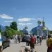 Мазь живокоста своими руками — изображение 4