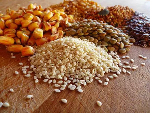 Рейтинг комбикормов для кур несушек — изображение 2