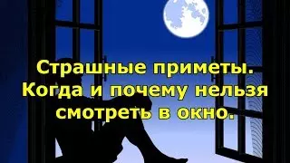 Приметы голубь сел на плечо — изображение 18