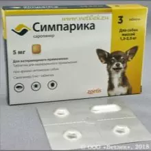 Чем обработать пол в вольере для собак — изображение 27