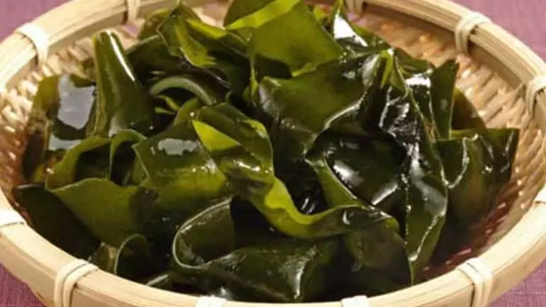 Можно ли есть сухую морскую капусту — изображение 4