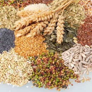 Сыворотка для кур несушек — изображение 9