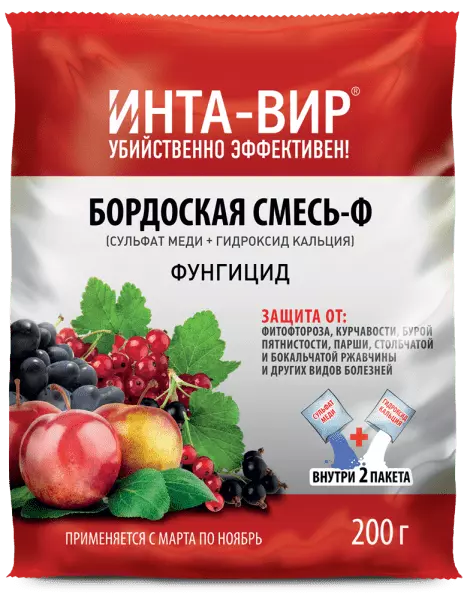 Можно ли пересадить смородину в ноябре — изображение 11