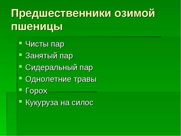 При какой температуре растет озимая пшеница — изображение 7