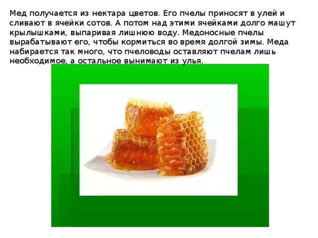 Изделие пчелы и соты — изображение 11