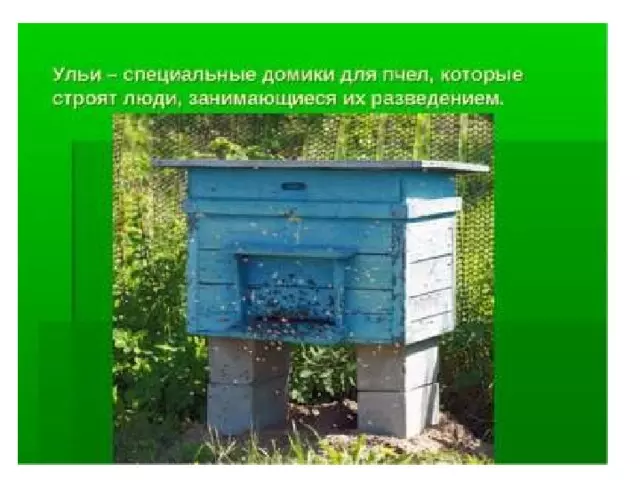 Изделие пчелы и соты — изображение 7