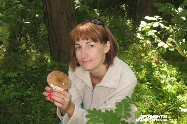 Грибы калач на дону — изображение 17