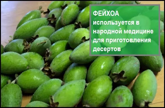 Компот из фейхоа полезные свойства — изображение 2