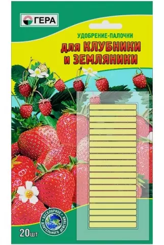 Клубника в ведрах выращивание — изображение 13