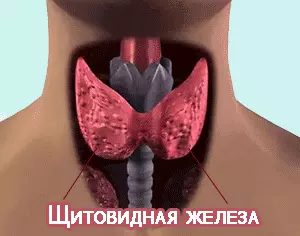 Кора вишни лечебные свойства и противопоказания — изображение 3