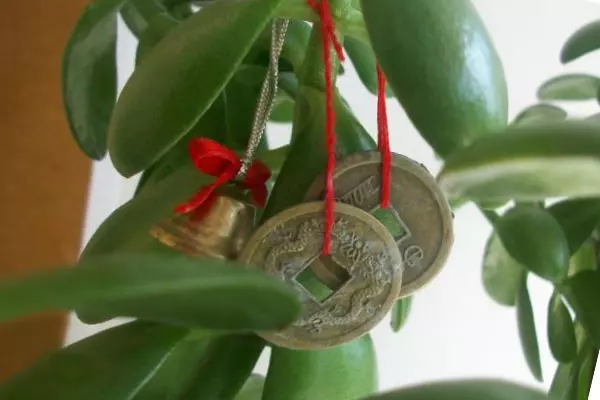 Денежное дерево картина куда повесить — изображение 2