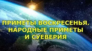 Приметы голубь сел на плечо — изображение 22