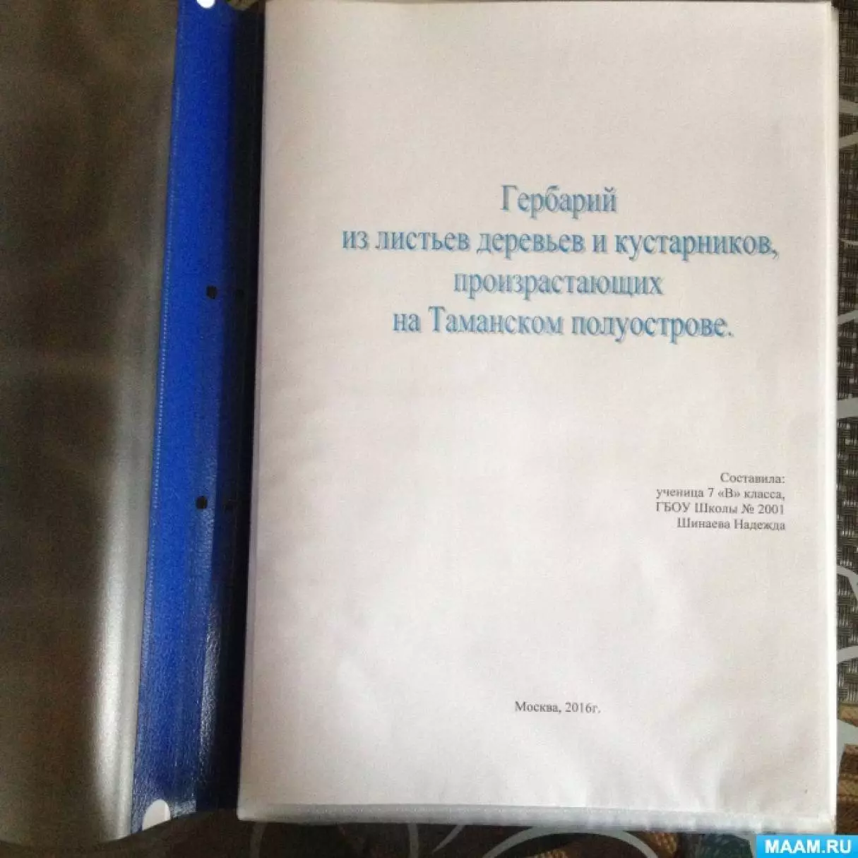 Гербарий по биологии 6 класс образец — изображение 35
